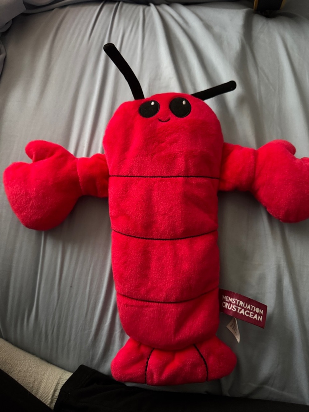Menstruation Crustacean heating pad
